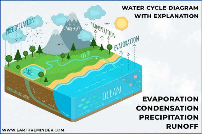 water-cycle-process-diagram-with-explanation