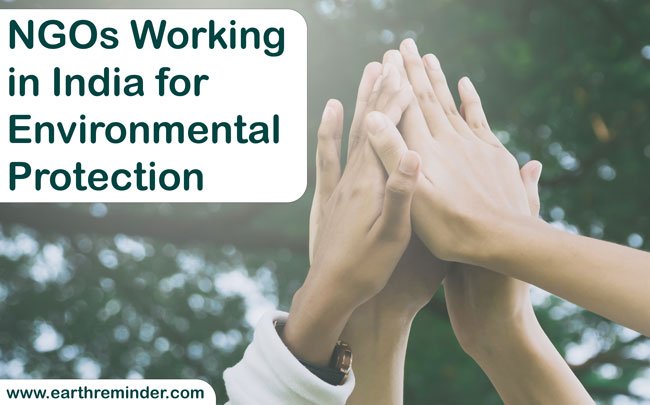 NGOs-working-for-environmental-protection-in-india